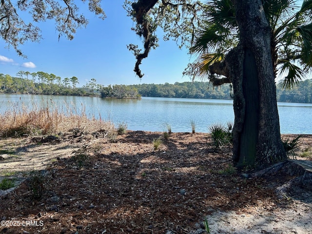 193 Pleasant Point Dr, Beaufort, SC 29907 - photo 6
