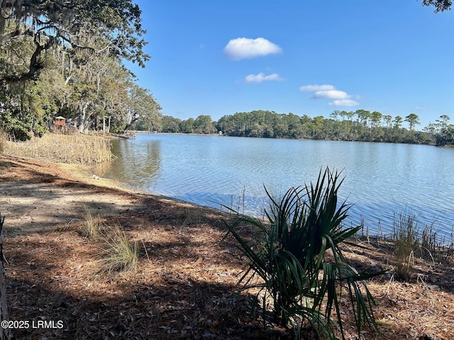 193 Pleasant Point Dr, Beaufort, SC 29907 - photo 7