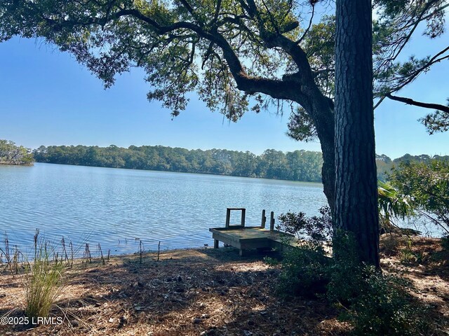 193 Pleasant Point Dr, Beaufort, SC 29907 - photo 8