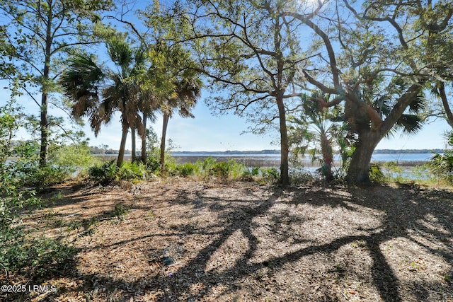 17 Indian Hill Ln, Hilton Head Island, SC 29926 - photo 8