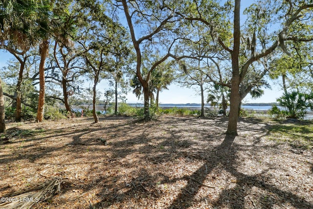 17 Indian Hill Ln, Hilton Head Island, SC 29926 - photo 7