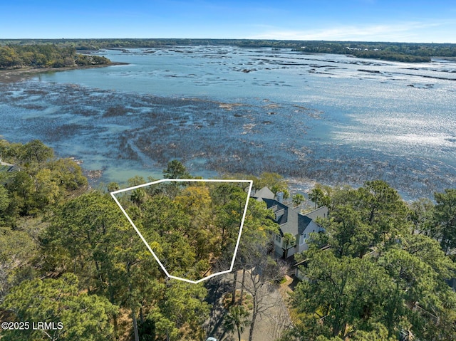 17 Indian Hill Ln, Hilton Head Island, SC 29926 - photo 13