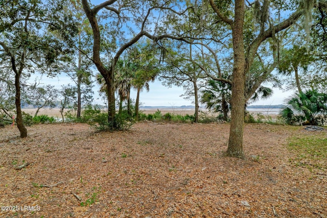 17 Indian Hill Ln, Hilton Head Island, SC 29926 - photo 9