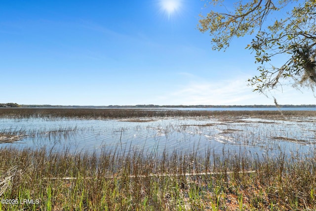 17 Indian Hill Ln, Hilton Head Island, SC 29926 - photo 4