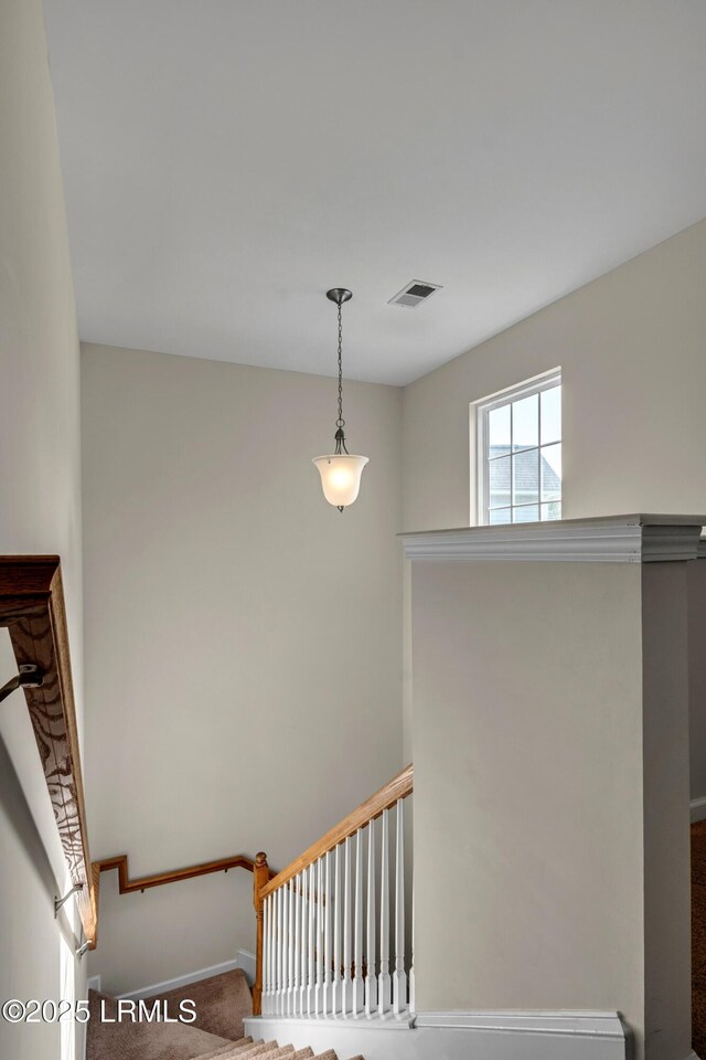 241 Turkey Oak Dr, Bluffton, SC 29910 - photo 20