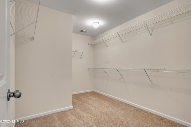 241 Turkey Oak Dr, Bluffton, SC 29910 - photo 12