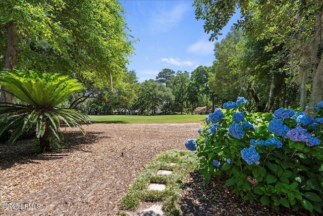 419 Bb Sams Dr, Saint Helena Island, SC 29920 - view of yard