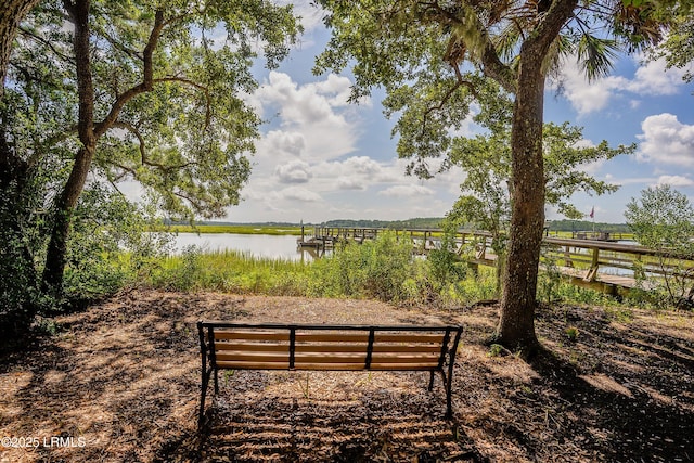 419 Bb Sams Dr, Saint Helena Island, SC 29920 - view of home's community featuring a water view