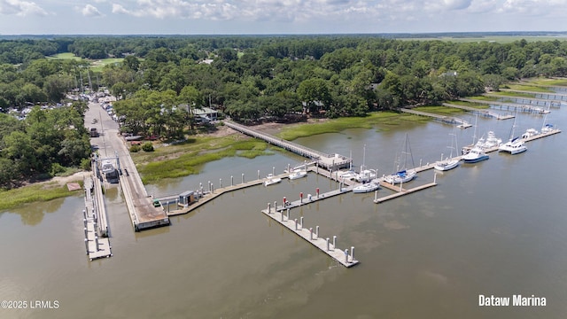 419 Bb Sams Dr, Saint Helena Island, SC 29920 - drone / aerial view of a large body of water, numerous boat docks, and a forest