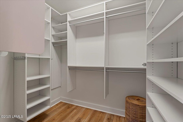 419 Bb Sams Dr, Saint Helena Island, SC 29920 - walk in closet featuring wood finished floors