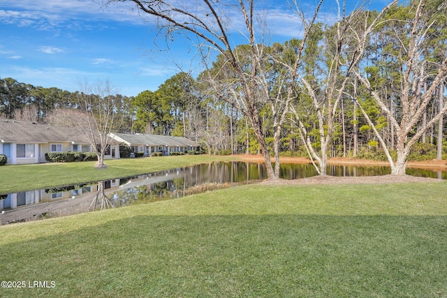 15 Padgett Dr, Bluffton, SC 29909 - view of yard featuring a water view