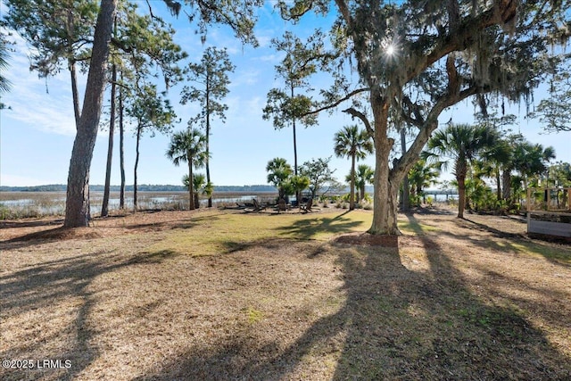 view of yard featuring a water view