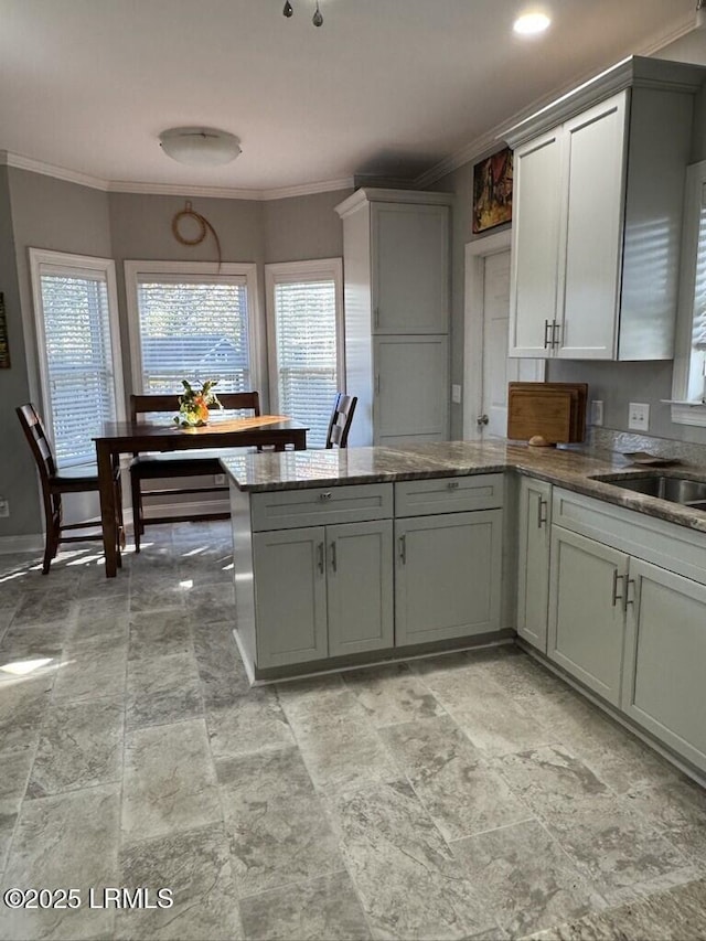 1118 Otter Cir, Beaufort, SC 29902 - kitchen with plenty of natural light, a peninsula, and ornamental molding