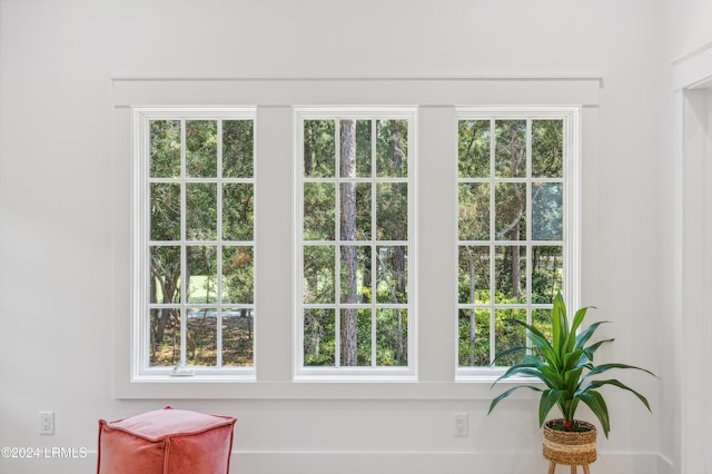 entryway featuring a wealth of natural light