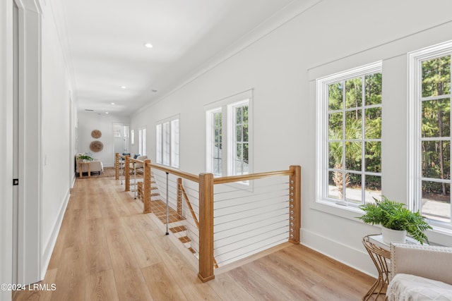 corridor with crown molding, a healthy amount of sunlight, and light wood-type flooring