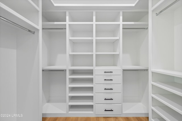 walk in closet featuring light hardwood / wood-style floors