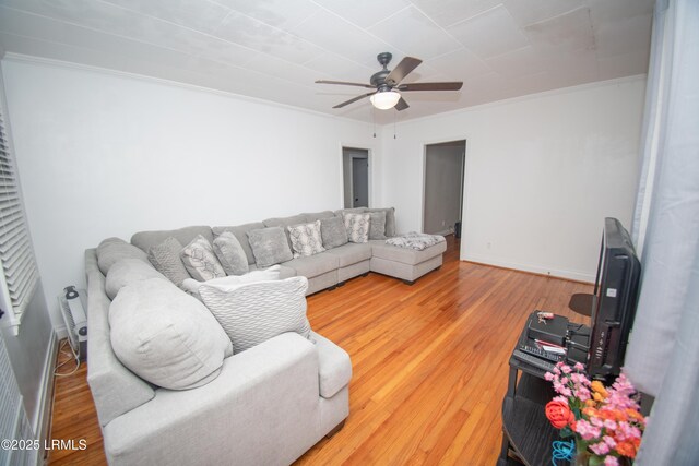 101 Brabham St, Brunson, SC 29911 - photo 5
