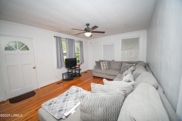 101 Brabham St, Brunson, SC 29911 - photo 4