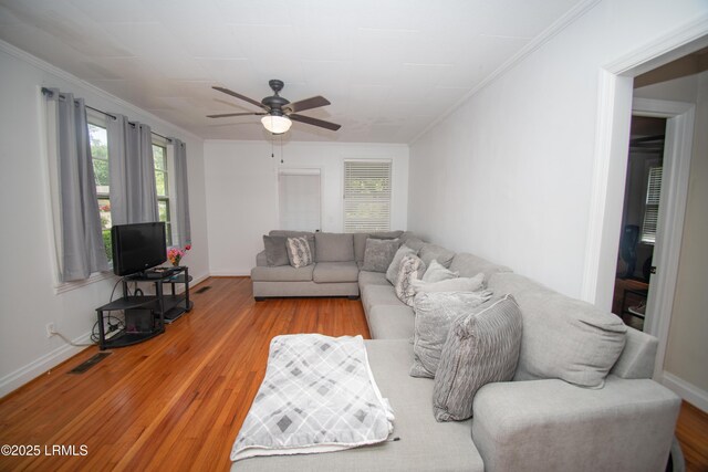 101 Brabham St, Brunson, SC 29911 - photo 6