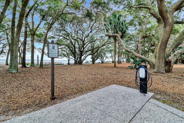 12 Wild Azalea Ln, Hilton Head Island, SC 29926 - photo 68