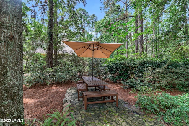 12 Wild Azalea Ln, Hilton Head Island, SC 29926 - photo 45