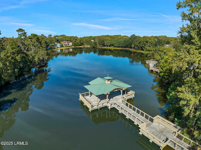 12 Wild Azalea Ln, Hilton Head Island, SC 29926 - photo 53
