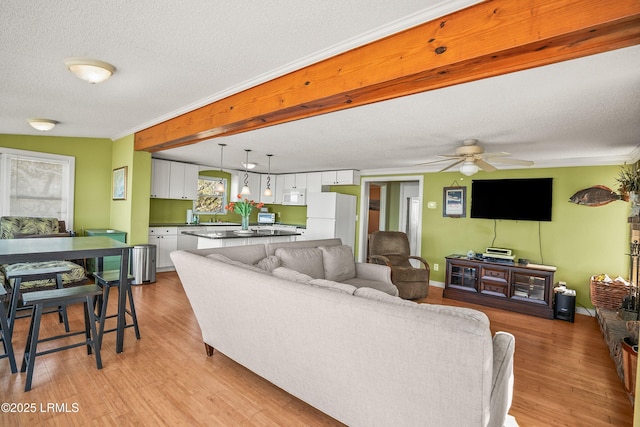 living room featuring crown molding, ceiling fan, a textured ceiling, and light wood-type flooring