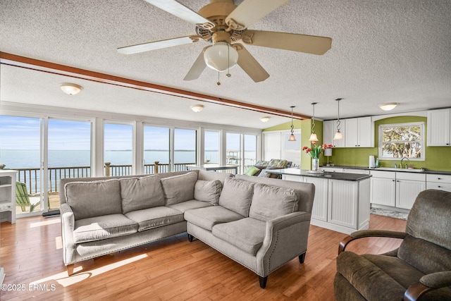 living room with sink, light hardwood / wood-style flooring, and a water view