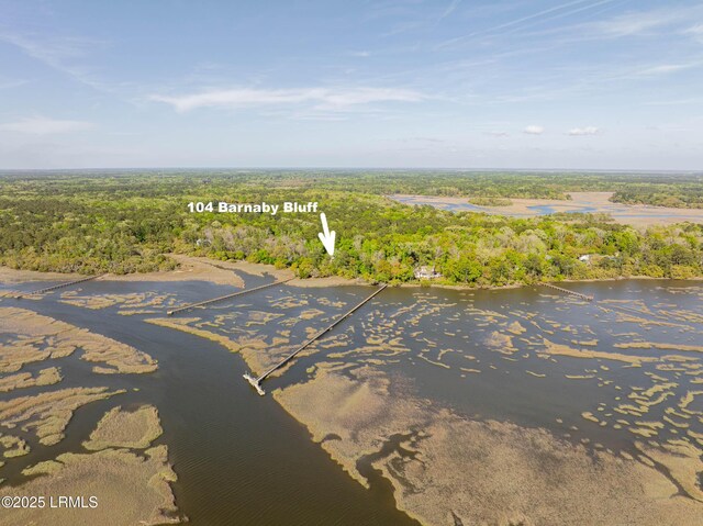 104 Barnaby Blf, Seabrook, SC 29940 - bird's eye view of a nearby body of water