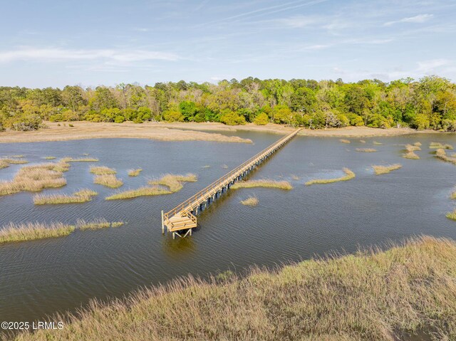 104 Barnaby Blf, Seabrook, SC 29940 - water view featuring a heavily wooded area