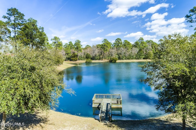 535 Distant Island Dr, Beaufort, SC 29907