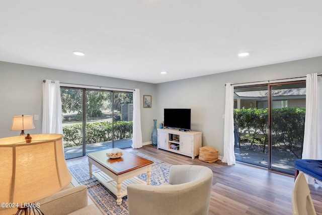 living room featuring hardwood / wood-style flooring