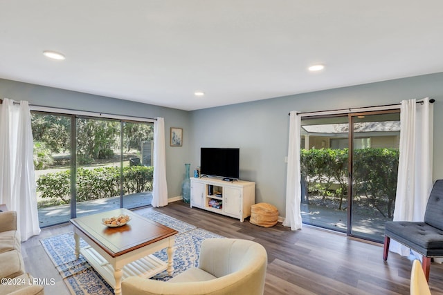 living room with dark wood-type flooring