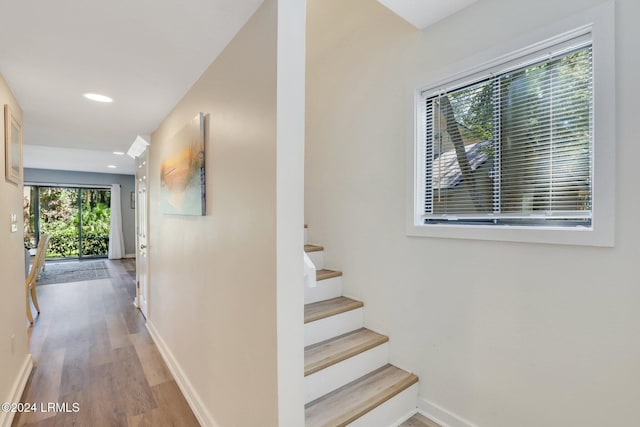 hall featuring wood-type flooring