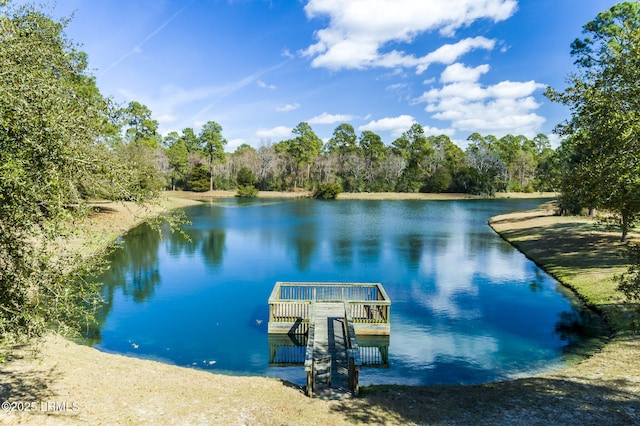 185 Distant Island Dr, Beaufort, SC 29907 - photo 21