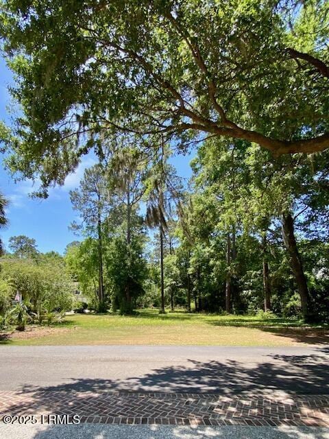 185 Distant Island Dr, Beaufort, SC 29907 - photo 4