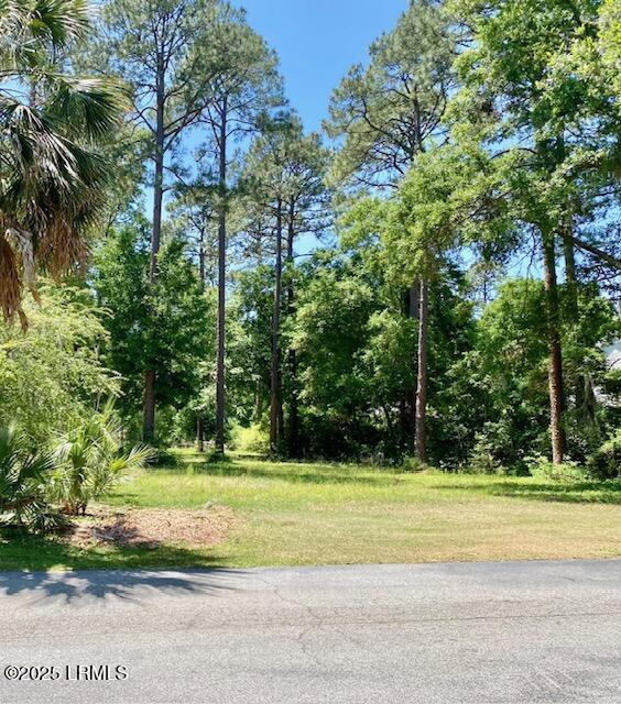 185 Distant Island Dr, Beaufort, SC 29907 - photo 2