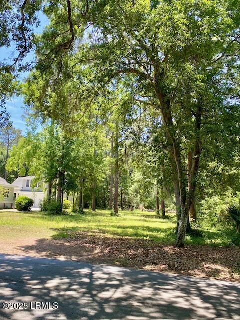 185 Distant Island Dr, Beaufort, SC 29907 - photo 5