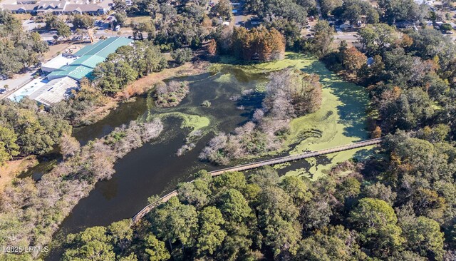 120B Tamara Ln, Port Royal, SC 29935 - aerial overview of property's location featuring a large body of water