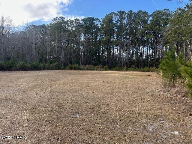 36 Mike Dr, Okatie SC, 29909 land for sale