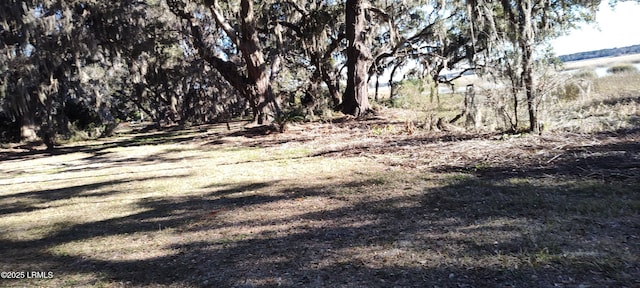 view of local wilderness