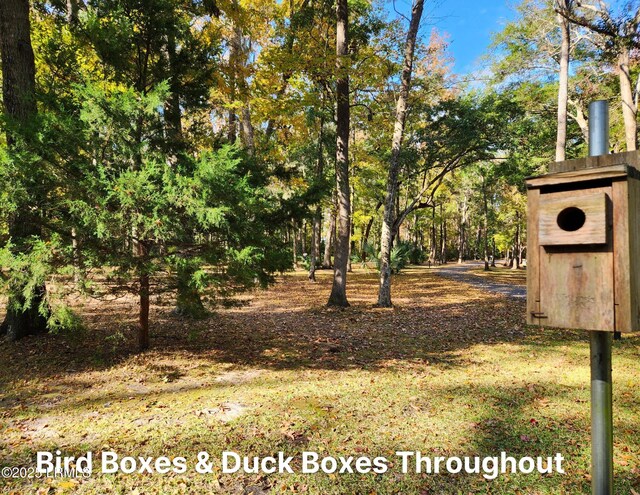 234 Bull Point Dr, Seabrook, SC 29940