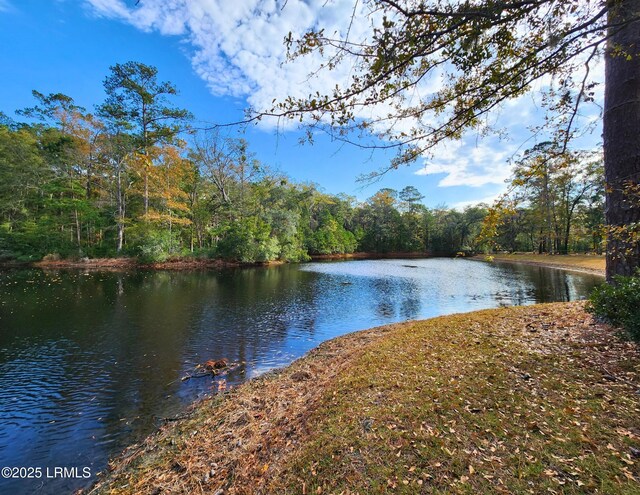 234 Bull Point Dr, Seabrook, SC 29940