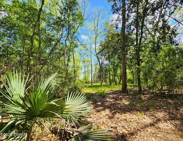 234 Bull Point Dr, Seabrook, SC 29940