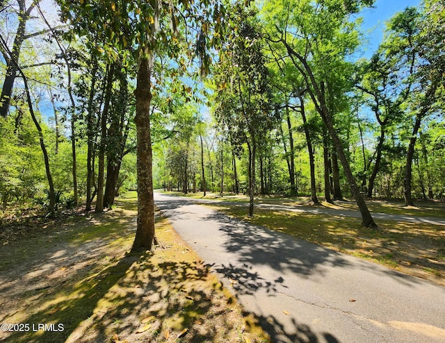 234 Bull Point Dr, Seabrook, SC 29940