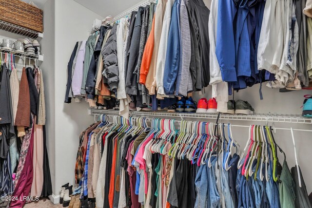 view of spacious closet