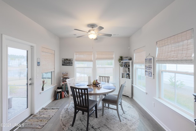 dining area with hardwood / wood-style floors and ceiling fan