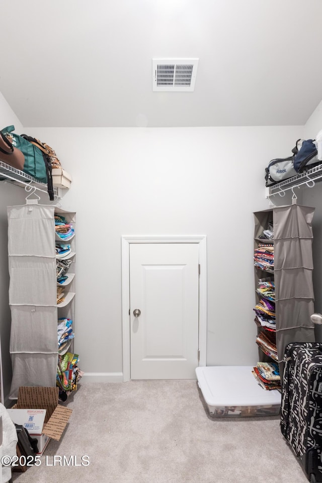 walk in closet featuring carpet floors