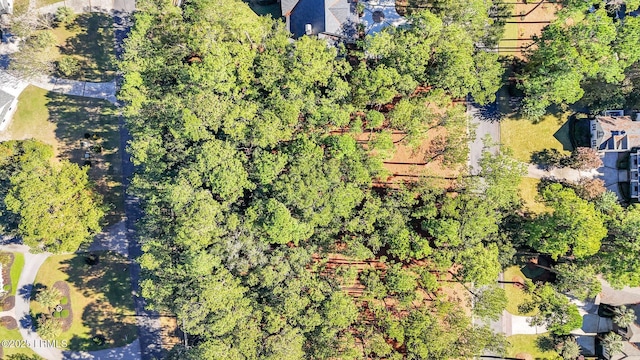 117 Summerton Dr, Bluffton, SC 29910 - photo 7