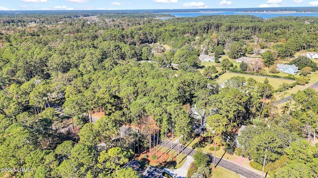 117 Summerton Dr, Bluffton, SC 29910 - photo 4